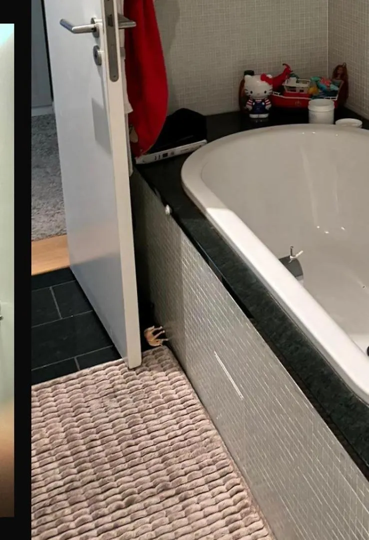 Wunderschoenes Zimmer In Einem Grossen Appartement Neben Dem Brandenburger Tor Und Vom Adlon Hotel Берлин 0*,